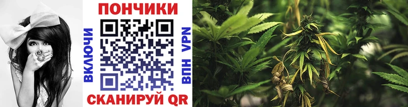 Шишки марихуана тримм  где купить наркоту  Кувандык 